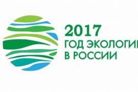 2017 год